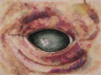 Bruised and Diseased