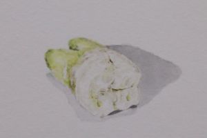Extracted 3