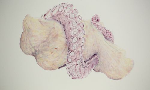 Tentacled