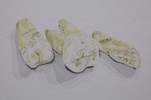 Relics of the Corporeal II