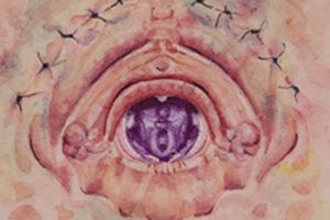 Lie Catcher II