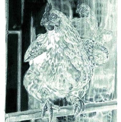 Parasomnia drawing 1