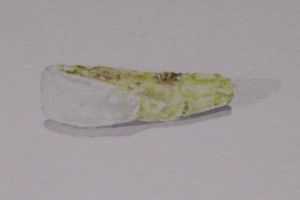 Extracted 1