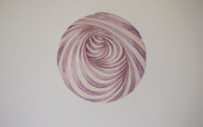 Shell Vortex